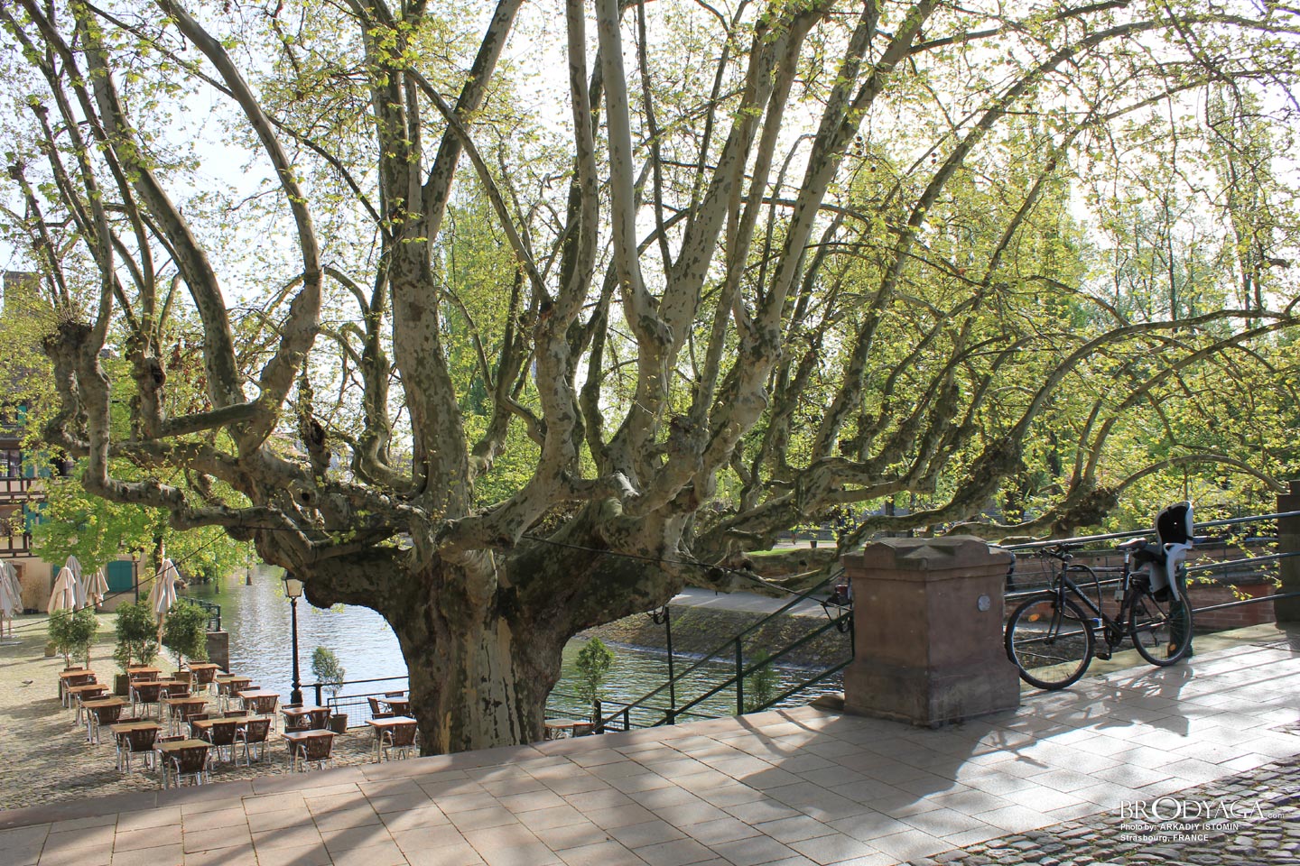 Strasbourg
